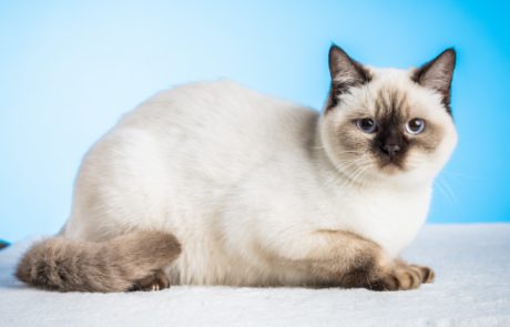 _Front_Emire_2019-40_low