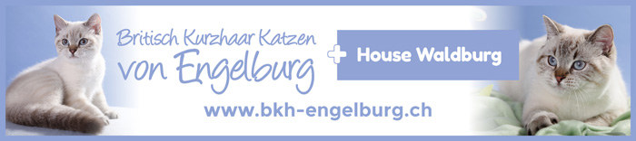BKH Engelburg
