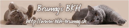 BKH Brumag