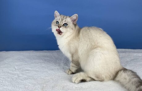 Tatranka_IMG_2328_low