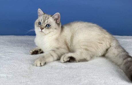 Tatranka_IMG_2330_low