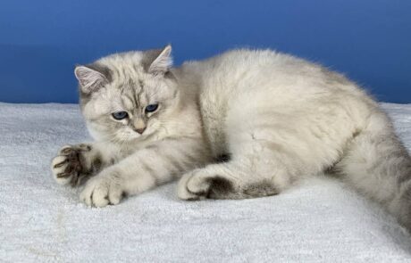 Tatranka_IMG_2332_low