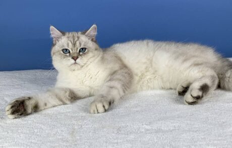 Tatranka_IMG_2335_low