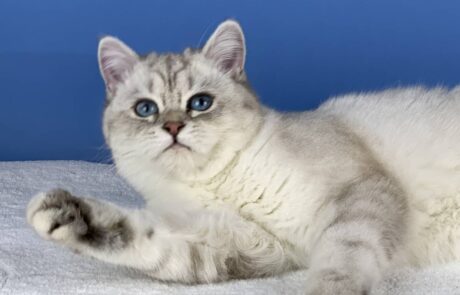 Tatranka_IMG_2339_low