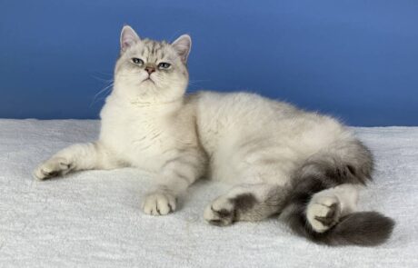 Tatranka_IMG_2341_low