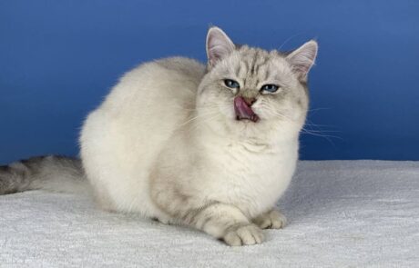 Tatranka_IMG_2345_low