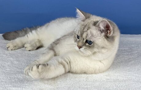 Tatranka_IMG_2348_low